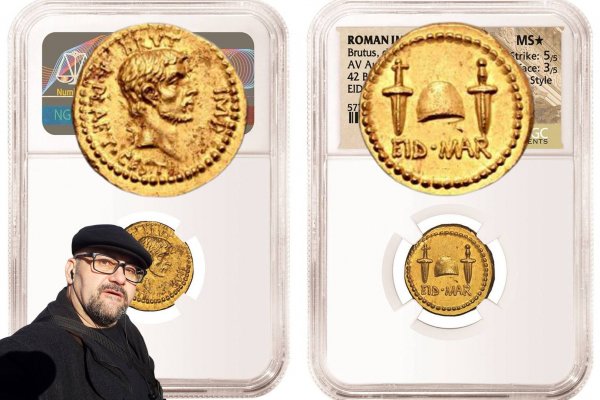 Кракен работает: полный обзор